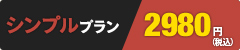 シンプルプラン 2,980円