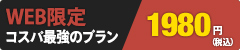 WEB限定コスパ最強のプラン 1,980円